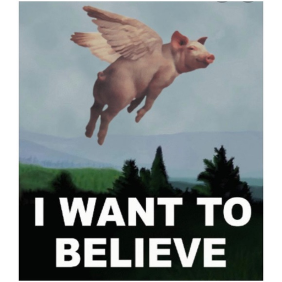 SPOTS OPEN JODI’S FLYING PIGS SHARE GROUP INFO PAGE - Picture 11 of 15